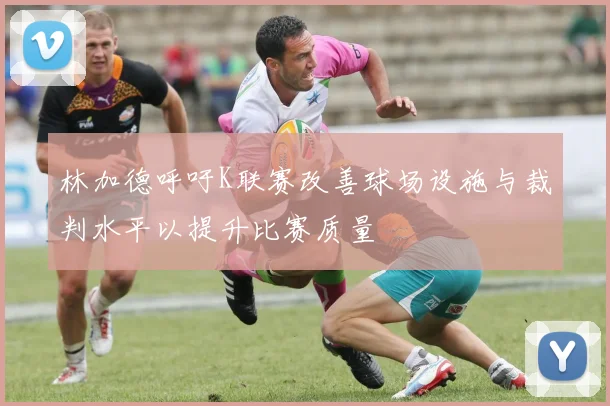 林加德呼吁K联赛改善球场设施与裁判水平以提升比赛质量