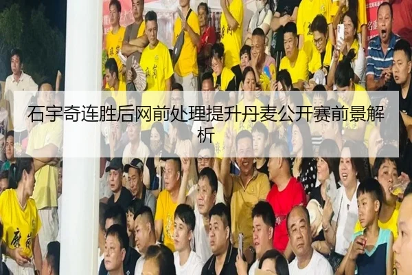 石宇奇连胜后网前处理提升丹麦公开赛前景解析